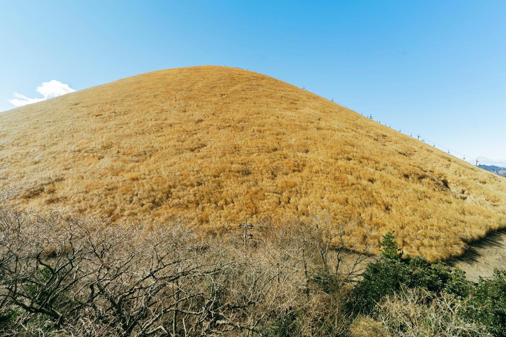 הוילה Futo スマートステイ大室山2合目 מראה חיצוני תמונה